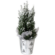Arvore de Natal - CX02 - A 30-40 cm